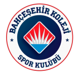 Bahcesehir Kol. crest