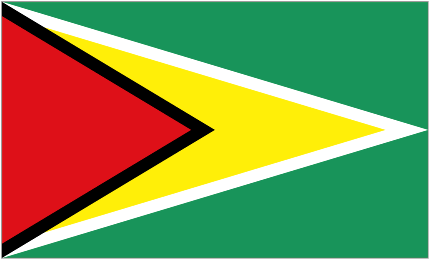 Guyana U20 crest