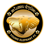 Young Elephant crest