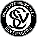 Elversberg U19 crest