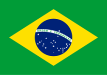 Brazil U20 crest