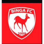 Binga crest