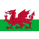 Wales U19 W crest