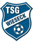 Wieseck U19 crest