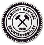 Sárisápi Bányász crest