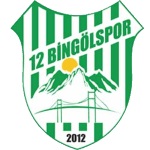 12 Bingölspor logo