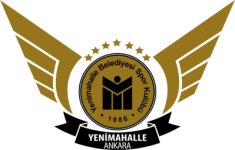Ankara Hentbol crest