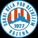 Sokol Bela pod Bezdezem crest