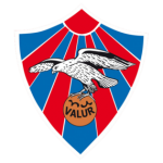 Valur W crest