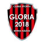 Bistrita W (Rou) crest