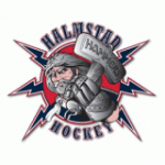 Halmstad crest