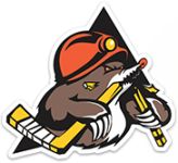 Soligorsk crest
