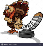 Turkey crest