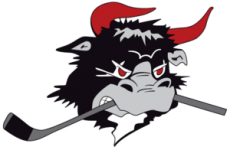Rodovre Mighty Bulls crest