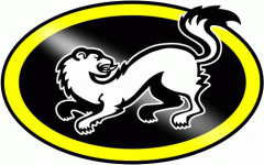 Karpat crest