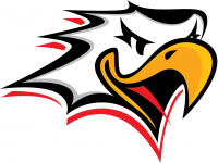 Vaasan Sport crest