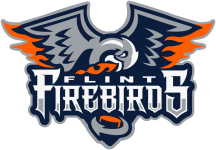 Flint Firebirds crest