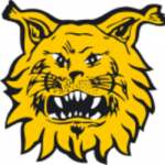 Ilves U20 crest