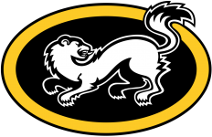 Karpat U20 crest