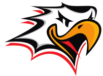 Vaasan Sport U20 crest