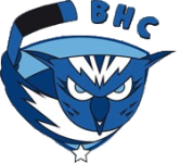 Brive crest
