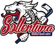 Sollentuna U20 crest