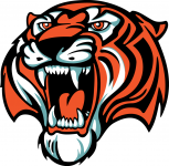 Amurskie Tigry crest