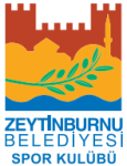 Zeytinburnu Istanbul crest