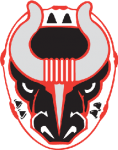 Birmingham Bulls crest